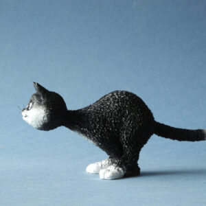 DUB82, Überraschung! (Surprise!)